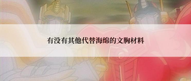 有没有其他代替海绵的文胸材料