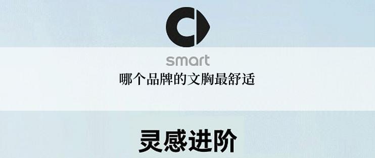 哪个品牌的文胸最舒适