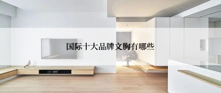 国际十大品牌文胸有哪些