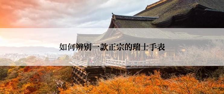 如何辨别一款正宗的瑞士手表