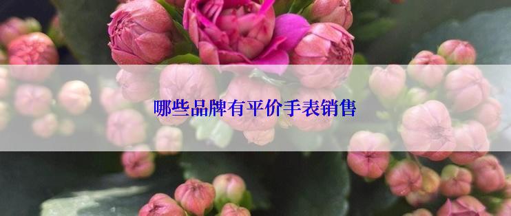 哪些品牌有平价手表销售