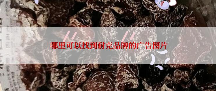  哪里可以找到耐克品牌的广告图片