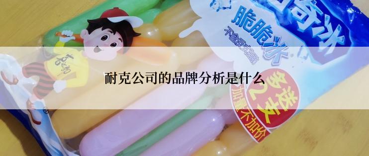 耐克公司的品牌分析是什么