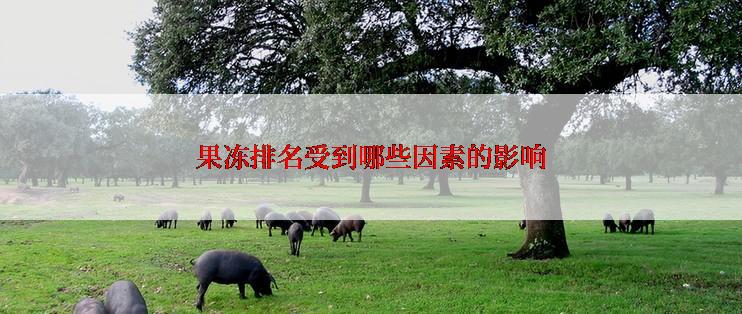 果冻排名受到哪些因素的影响
