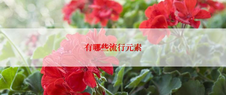 有哪些流行元素