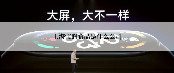 上海宝润食品是什么公司