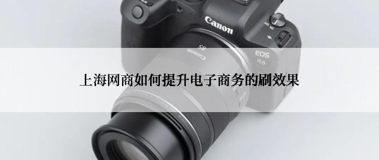 上海网商如何提升电子商务的刷效果