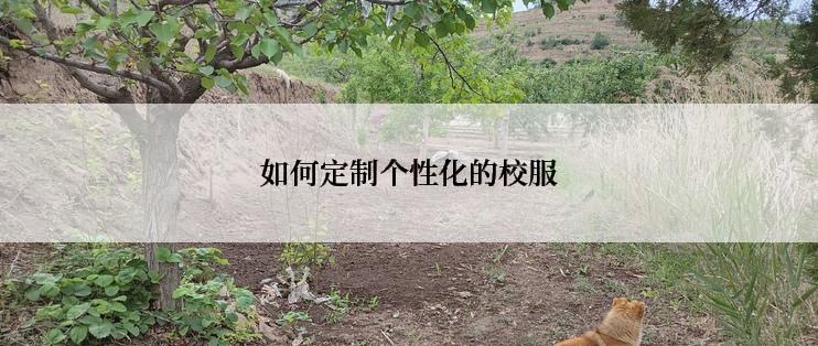 如何定制个性化的校服