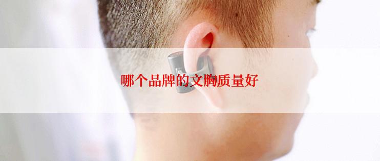 哪个品牌的文胸质量好