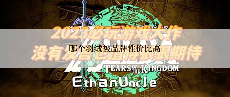 哪个羽绒被品牌性价比高