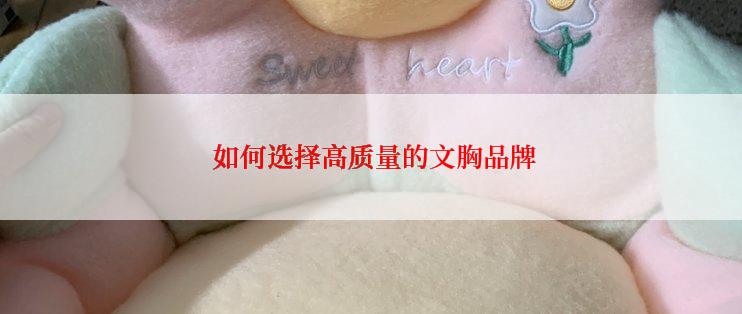 如何选择高质量的文胸品牌