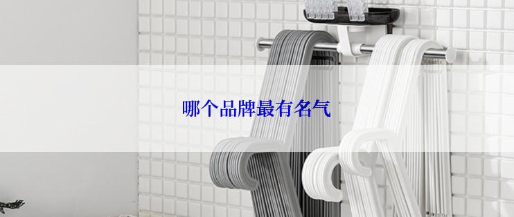 哪个品牌最有名气