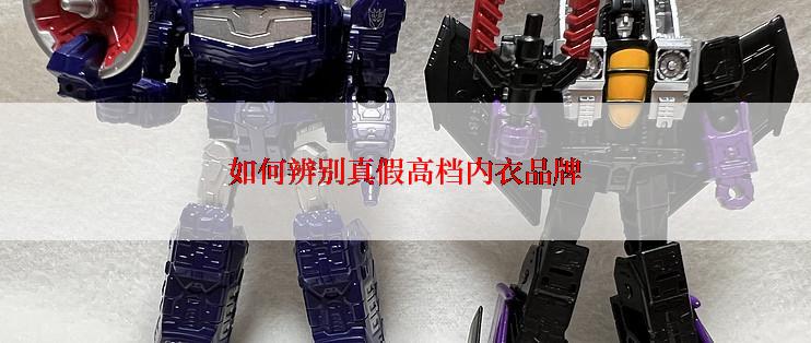 如何辨别真假高档内衣品牌