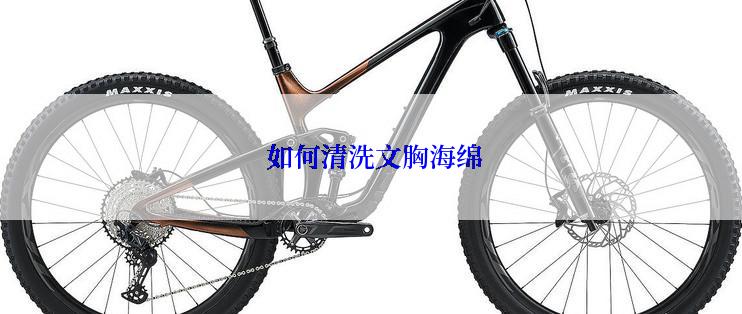 如何清洗文胸海绵