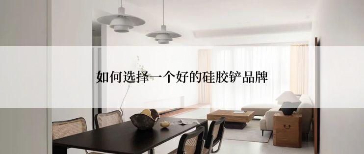 如何选择一个好的硅胶铲品牌