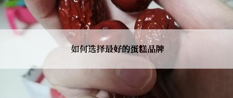  如何选择最好的蛋糕品牌