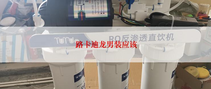  路卡迪龙男装应该
