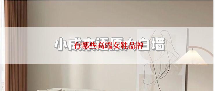  有哪些高端女鞋品牌