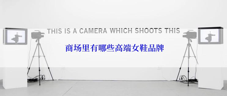  商场里有哪些高端女鞋品牌