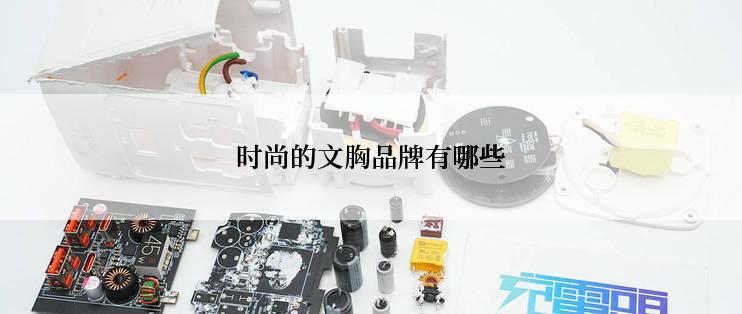 时尚的文胸品牌有哪些