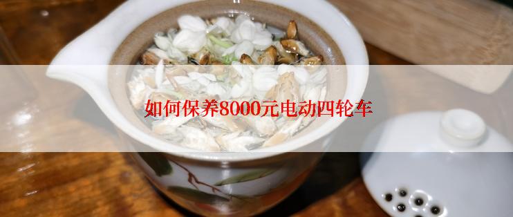  如何保养8000元电动四轮车
