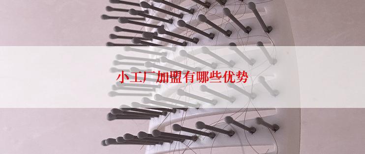 小工厂加盟有哪些优势