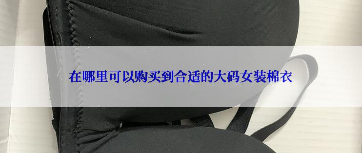 在哪里可以购买到合适的大码女装棉衣
