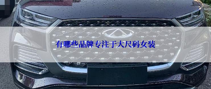 有哪些品牌专注于大尺码女装