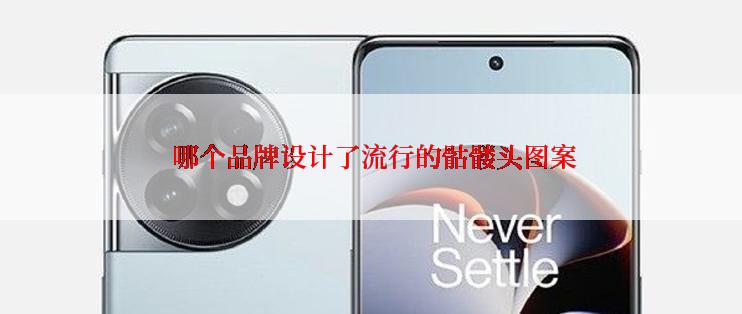  哪个品牌设计了流行的骷髅头图案