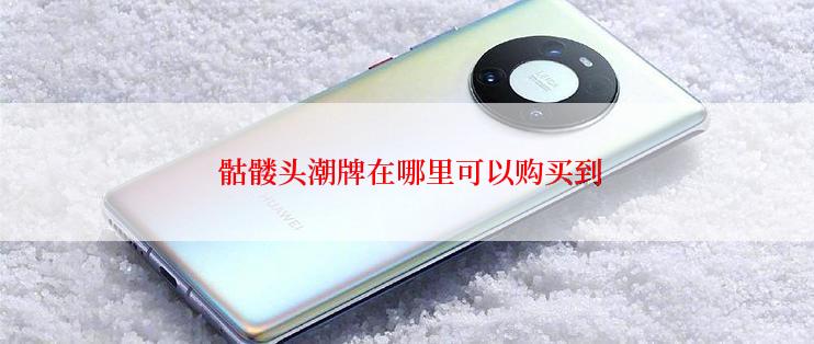  骷髅头潮牌在哪里可以购买到