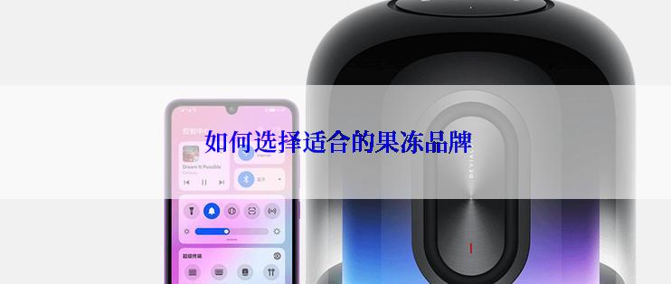  如何选择适合的果冻品牌