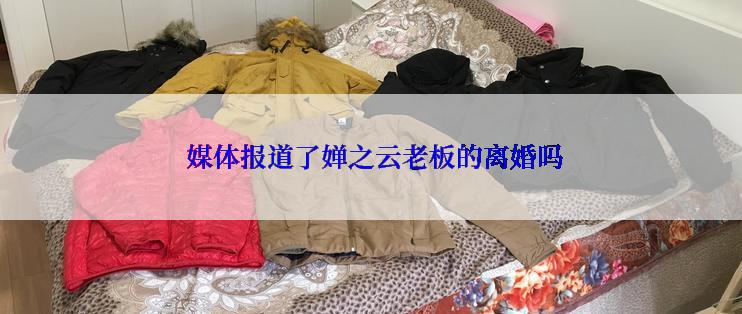  媒体报道了婵之云老板的离婚吗
