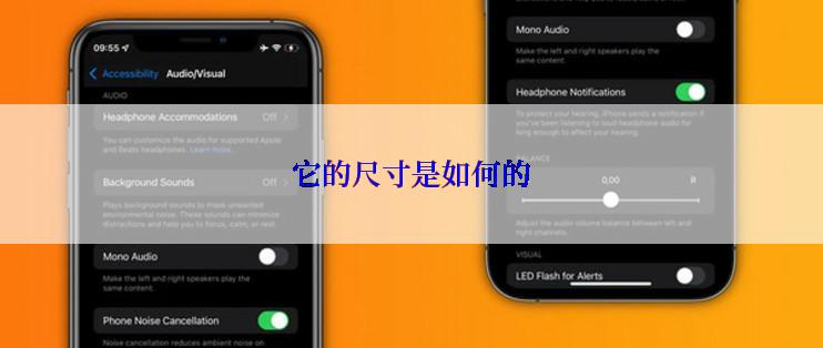 它的尺寸是如何的