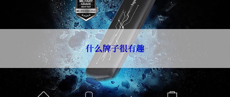 什么牌子很有趣