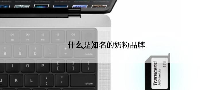 什么是知名的奶粉品牌