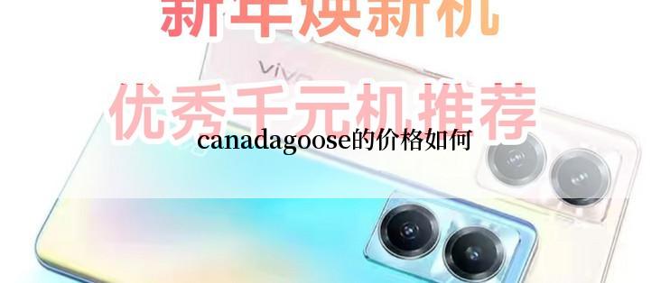 canadagoose的价格如何