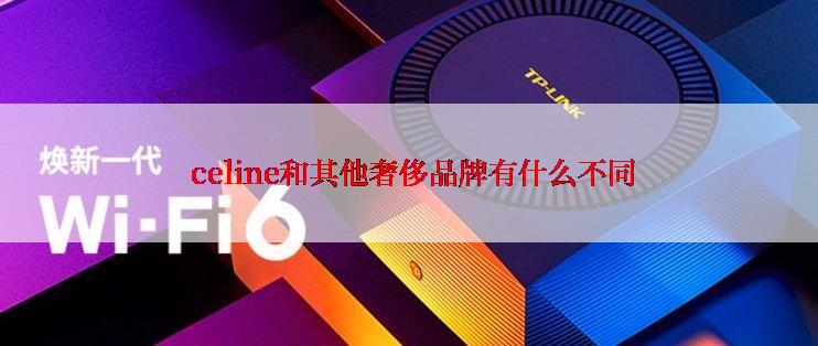  celine和其他奢侈品牌有什么不同