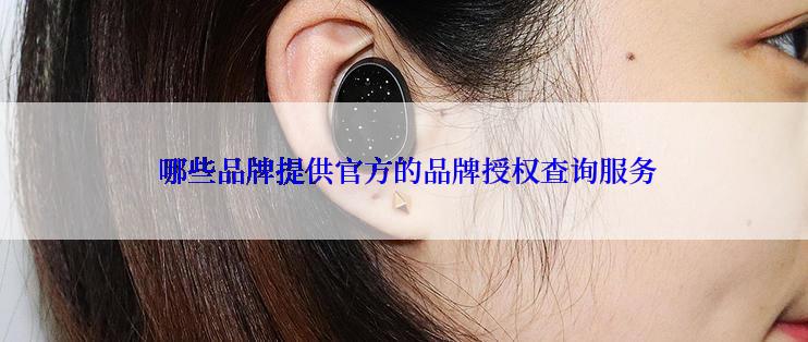  哪些品牌提供官方的品牌授权查询服务