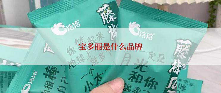 宝多丽是什么品牌