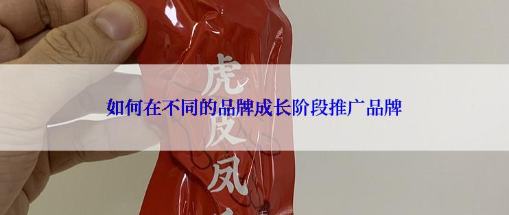 如何在不同的品牌成长阶段推广品牌