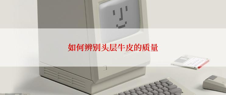 如何辨别头层牛皮的质量