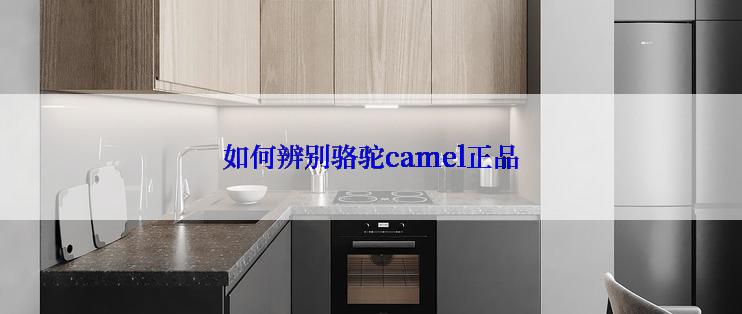 如何辨别骆驼camel正品