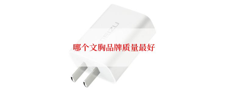  哪个文胸品牌质量最好