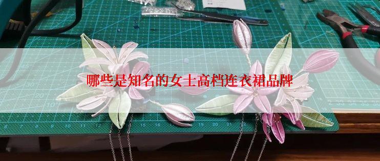 哪些是知名的女士高档连衣裙品牌