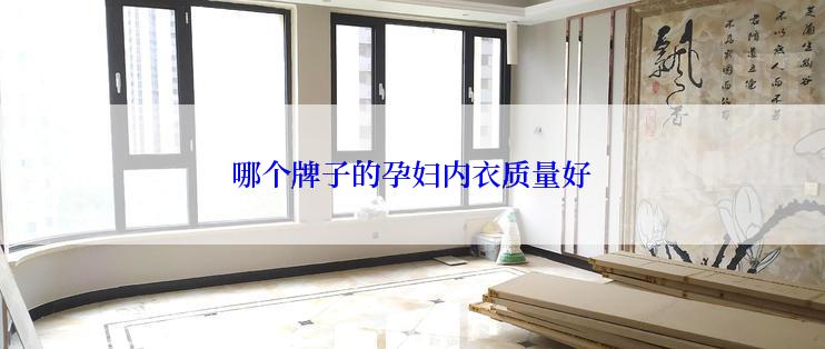 哪个牌子的孕妇内衣质量好