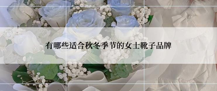 有哪些适合秋冬季节的女士靴子品牌