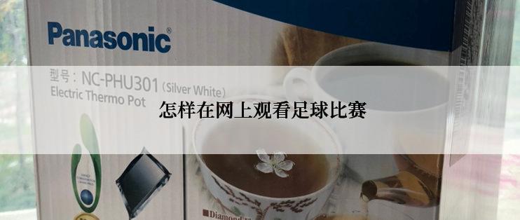  怎样在网上观看足球比赛