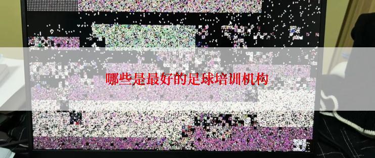 哪些是最好的足球培训机构