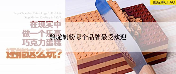 骆驼奶粉哪个品牌最受欢迎