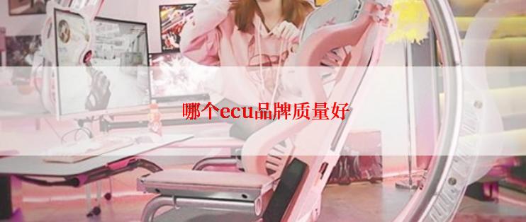  哪个ecu品牌质量好